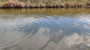 ✅🔥ТОП ПЕТАРД + РЕКА 💦 ВЗОРВАЛ МОЩНУЮ ПЕТАРДУ ПОД ВОДОЙ💦РАКЕТЫ В ВОДЕ 💥 МОЩНЫЕ Р23 И КОРСАР 8