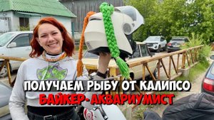 Получаем рыбу от Калипсо | Байкер-Аквариумист