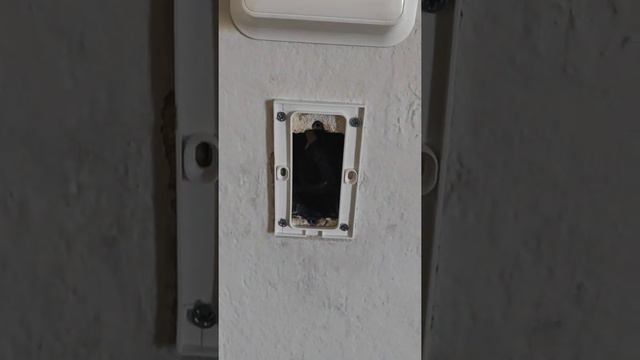 Replace standard light switch with Philips Hue Smart Dimmer Switch смотреть онлайн