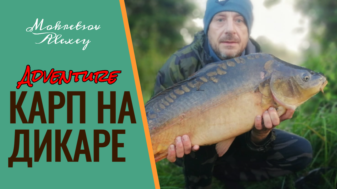 ОХОТА НА ДИКИХ КАРПОВ И САЗАНОВ. РЫБАЛКА В ДИКИХ МЕСТАХ.