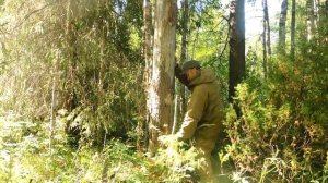 Строим новый балаган (рассказ) Второй день