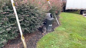 Муж и жена в дальнобое по США | Два дня без грузов в Алабаме | Работа на фуре в Америке