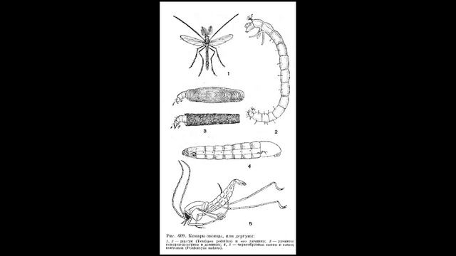 Комары смотреть онлайн