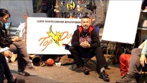 Алекс Вяткин. Лекция "Спортивные, защитные, охранные собаки".