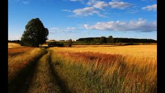 лето смотреть онлайн