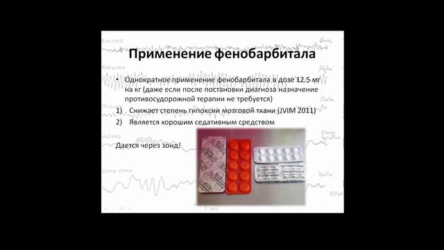 Неврологический пациент в ОРИТ. Эпилептический статус смотреть онлайн