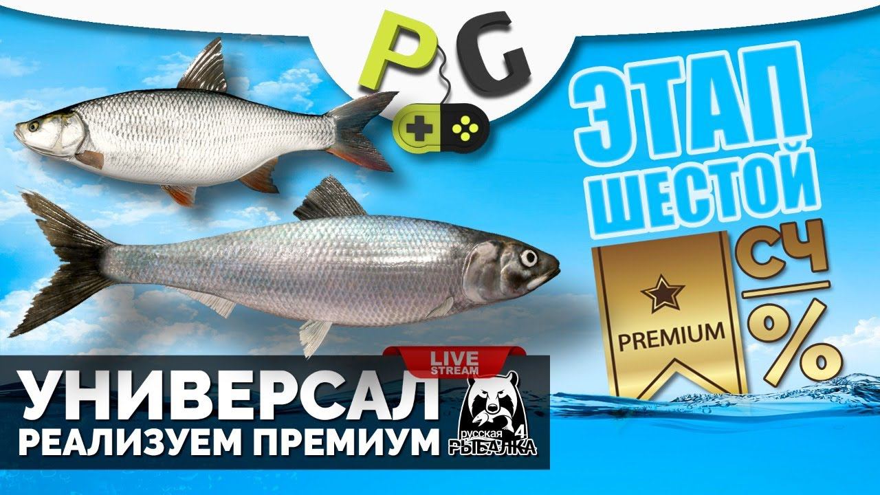Русская Рыбалка 4 - Стрим Прокачка УНИВЕРСАЛА для 6-го этапа Стрим #14 Открываем матч смотреть онлайн