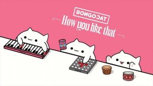Bongo Cat - 'How You Like That' BLACKPINK ?