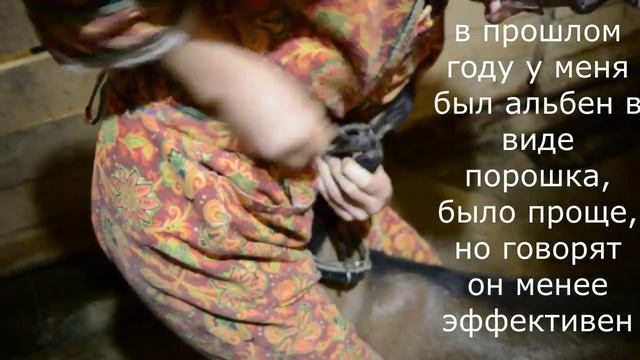Альбен козлятам, сколько и как давать.