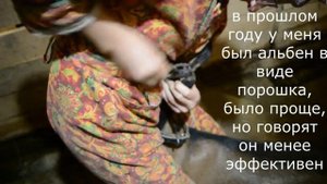 Альбен козлятам, сколько и как давать.