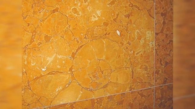 Москва. Древние обитатели московского метро смотреть онлайн