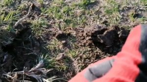 Коп в Астраханских степях (видео снималось в мае)