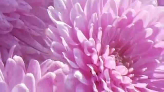 Panasonic Lumix GH3 Digital Camera Review