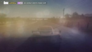 Forza Horizon 5 DeLorean и другие машины "Глитч": получаем (почти) бесплатно