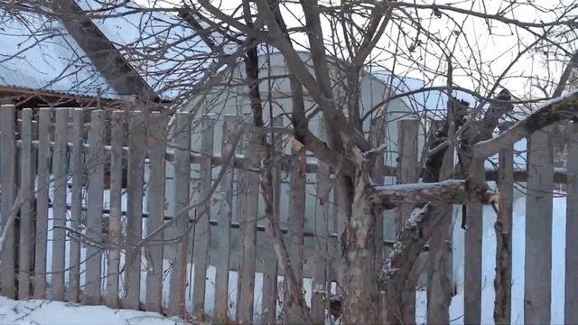 МОНТАЖ КАЛИТКИ, ВОРОТ из ПРОФНАСТИЛА 3/ЖИВУ на СЕЛЕ*СЕЛЯНИН смотреть онлайн