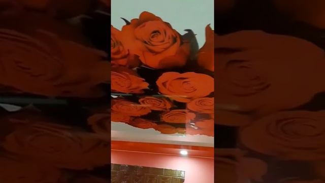 2Х УРОВНЕВЫЕ НАТЯЖНЫЕ ПОТОЛКИ ОТ Demi-lune! 068684444 смотреть онлайн