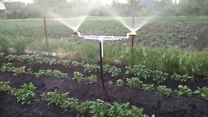 Поливалка огородная своими руками дешево