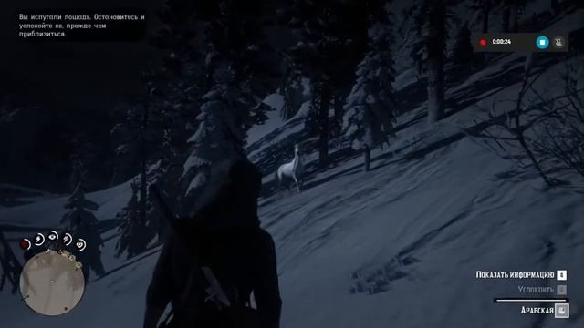 Где найти Арабскую лошадь РДР2 смотреть онлайн