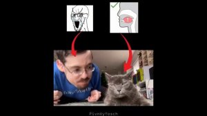 Домашка от Тайлера | нарезка мемов из  ТикТока | 31 часть