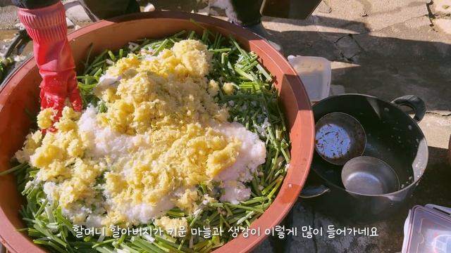 엄마 잡는 4개월 수면 퇴행..? | 김장하는 날????? | 육아 브이로그 | 육아 추천템 | 혼혈아기 | 미군가족 | 국제커플 | 유축 수유 | 임신 | 시험관 | 난임