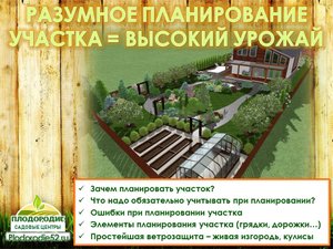 Планирование участка с умом