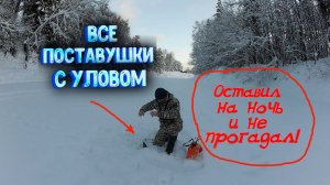 СКОЛЬКО ЖЕ ЗДЕСЬ этого ХИЩНИКА улов на каждой поставушке