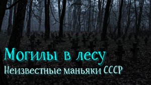 Могилы в лесу
