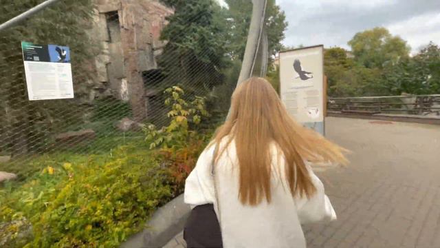 НОВЫЙ АЙФОН? МСК ЗООПАРК|КАК МЫ ВЫБРАЛИСЬ ИЗ ДОМА смотреть онлайн