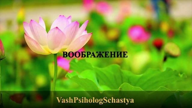 ⚡ 11. Воображение Краткое содержание #вашпсихологсчасть #осознание #мышление #мозг #память