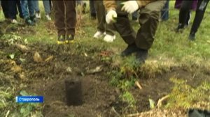 В Ставрополе в лесном урочище поселятся белки и запоют птицы