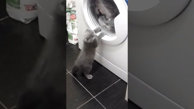 стиралка ч1 смотреть онлайн