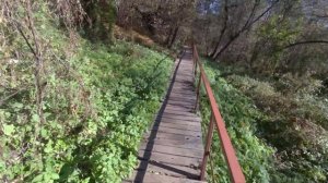 Шамординский МОНАСТЫРЬ - невероятно красивое место в Калужской области! #Шамордино #монастырь