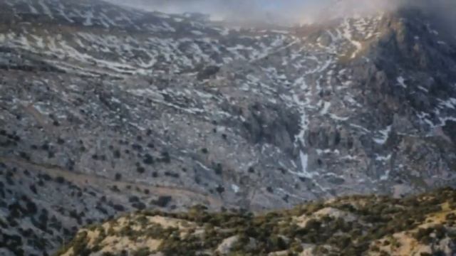 Пальма Де Путятин смотреть онлайн