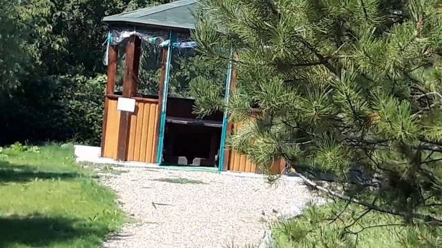 Грушевое озеро ЧАСТЬ 1 смотреть онлайн