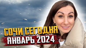 ЧТО ПРОИСХОДИТ В СОЧИ СЕГОДНЯ? УЗНАЙТЕ О ПОГОДЕ