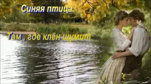 Синяя птица.   Там , где клён шумит