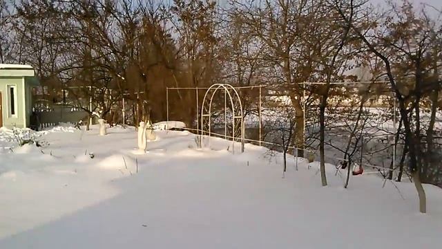 Вертикальное озеленение дачи