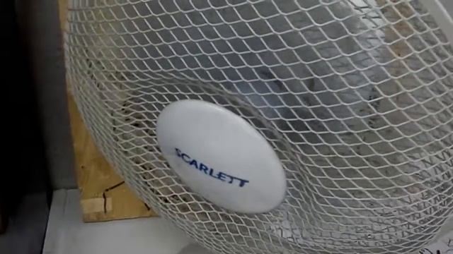 Вентилятор Scarlett круглый смотреть онлайн