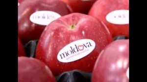 Молдавская свадебная музыка четвёртая часть