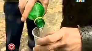 воины Света mp4