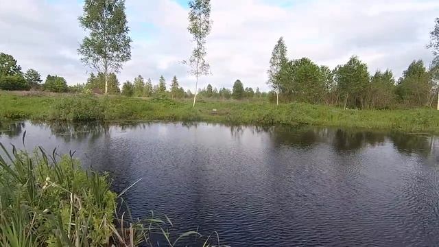 Пруд на даче. Будем копать пруд, чистить пруд от ила. Углублять и расширять свой пруд на даче.