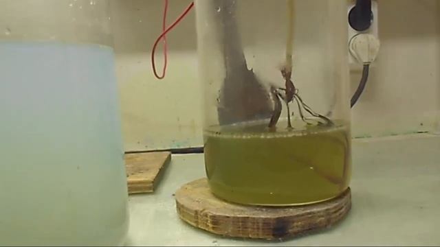 снятие посеребренки электролизом смотреть онлайн