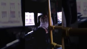 Лариса ссыт в сидение автобуса