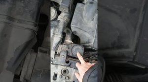 бмв антифриз выдавливает м50