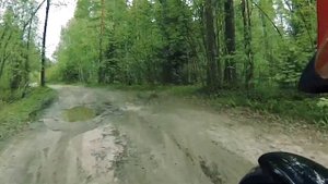 Покатушка по лесу на Honda VFR 1200X Crosstourer