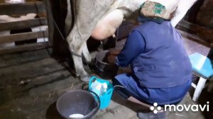 Вечерние будни