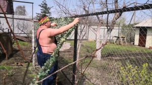 Садовый участок. Часть 2. Мелкие работы в огороде.