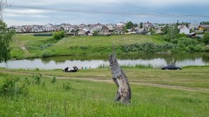 Барнаул Ляпиха обзор 13.06.21