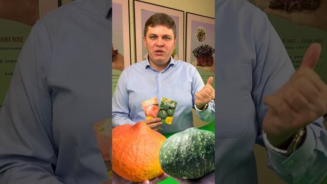 124.1 Тыквы Свит Коб и Орэнж Колон