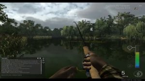 Fishing planet.ловля крупного сома на реке мадвотер